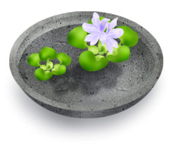 ���������čD���ł�